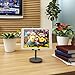 Tablet Floor Stand w/Pencil Holder - Klearlook Height Adjustable Tablet Stand(360°Rotating,62.9