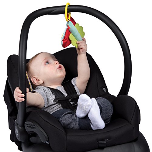 4 Manhattan+Toy+Cactus+Bpa+Free+Mirrors