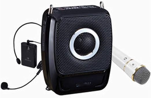 portable public address system