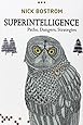 Superintelligence: Paths, Dangers, Strategies