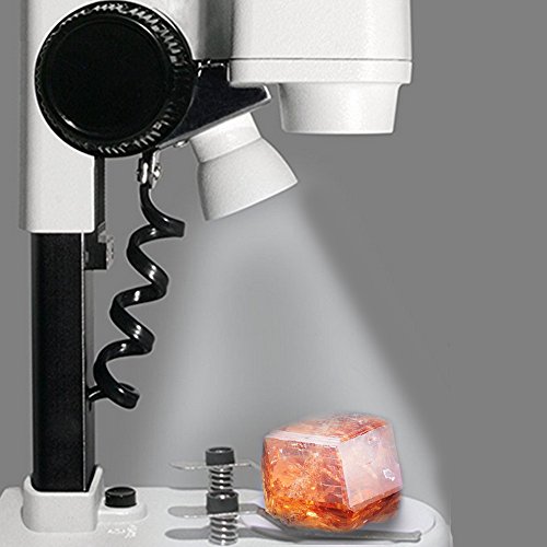 DoubleSun Student Kids Beginner Stereo Microscope Science Kit 20X-40X Compound LED Light Source Binoculars Lab Microscope with a Phone Adapter for Microscope to Record