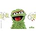 Tervis Sesame Street-Oscar the Grouch Insulated Tumbler with Wrap and Lime Green Lid, 10Oz Wavy, Clear