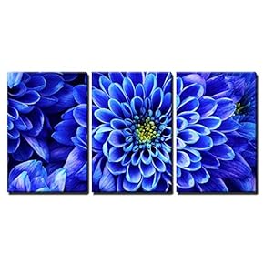 Close up of Blue Aster Flower Petals - Canvas Art Wall Art - 16"x24"