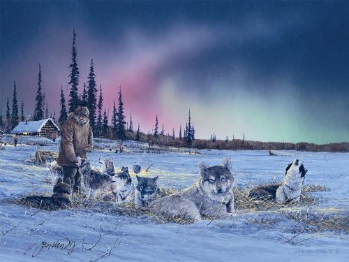 Mcgowan'S Tuftop Small Tempered Glass Board, Northern Lights Design, 8-3/4-Inch by 11-Inch