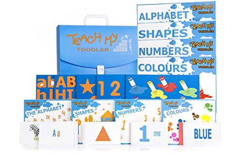 Teach My Toddler Learning Kit