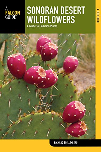Sonoran Desert Wildflowers: A Guide To Common Plants (Wildflower Series)