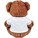 Sorry and Forgive Me Gift: Funny Teddy Bear Couple Gift: Medium Teddy Bear Stuffed Animal