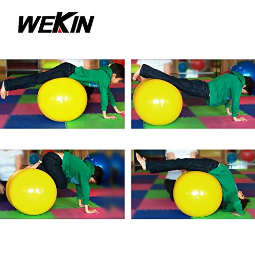 Wekin Physio Roll Therapy Fitness Peanut Ball for Balance, Labor Birthing, Muscle Tension, Pain Relief, Coordinate Development, Dog Training, Home Exercise & Yoga Programme
