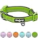 Blueberry Pet Adjustable Dog Collar, Soft & Safe, 3M Reflective, Neoprene Padded, Green Dog Collar, Dog Collars for Medium Dogs, Small Dog Collar, Eco-Friendly, Perfect for Pet Lovers & Owners