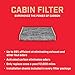 Champion CCF1820 Activated Carbon Replacement Cabin Air Filter