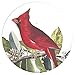 Buttonsmith Audubon Birds Magnet Set - Set of 4 1.25