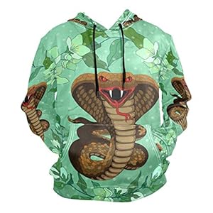 51eaCLBrX%2BL. SS300