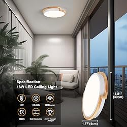 Peblto Modern LED Ceiling Light, Round Shape Flush