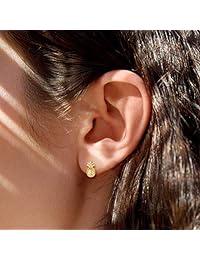 Carleen 14k Yellow Gold Plated 925 Sterling Silver Dainty Tiny Statement CZ Cubic Zirconia Daisy Sun Flower Cactus Pineapple Small Stud Earrings Jewelry for Women Girls