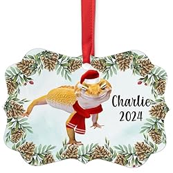 Smiley Leopard Gecko Christmas Ornament 2024