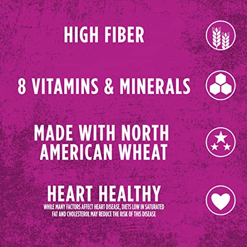 KELLOGG’S RAISIN BRAN, BREAKFAST CEREAL, ORIGINAL, 1.52OZ