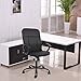 Office Chair, Ergonomics Mesh Chair Computer Chair Desk Chair High Back Chair w/Adjustable Headrest and Armrest