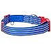 Blueberry Pet Essentials 5 Patterns Royal Bon Voyage Nautical Sleek Wisdom Stripes Adjustable Dog Collar, Large, Neck 18