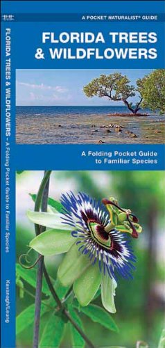 Florida Trees & Wildflowers: A Folding Pocket Guide to Familiar Species (Pocket Naturalist Guide Series)