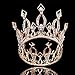 Stuffwholesale 4inch Height Floral Full Crown Rhinestone Crystal Tiara Bridal Wedding Hair Accessory (Rose Gold)