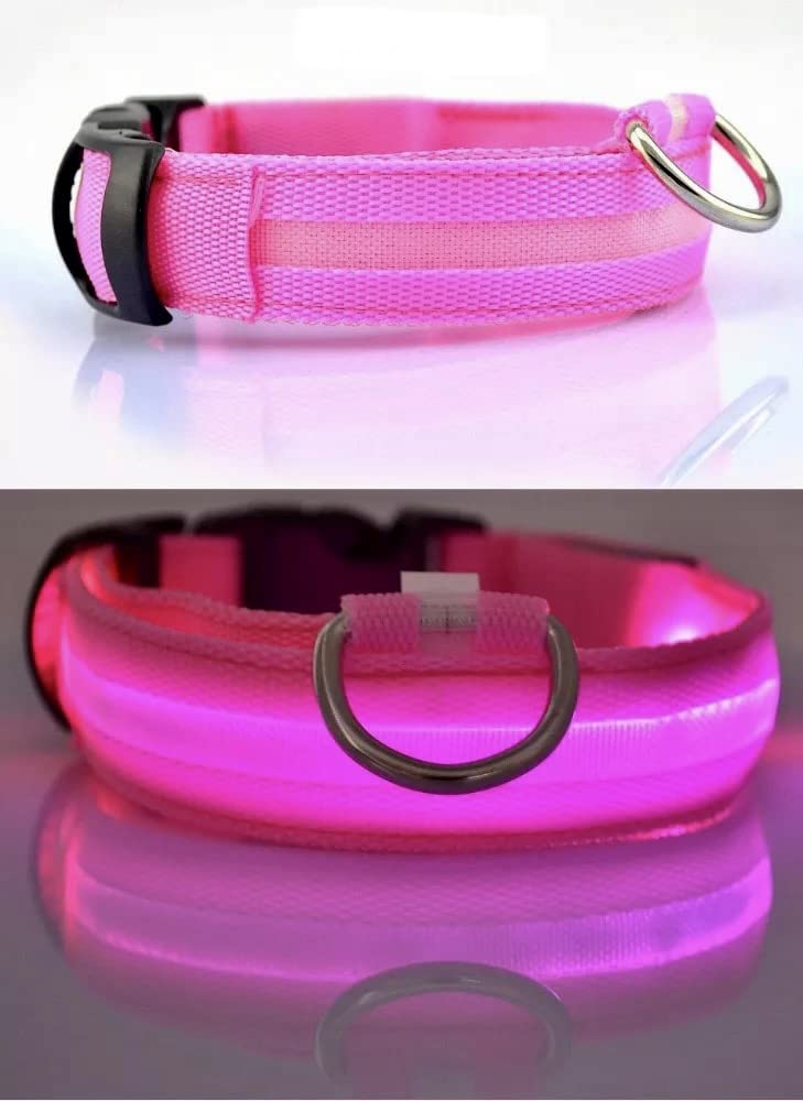 Led dog collar USB Rechargeable & Waterproof with 3 Flashing Modes, super bright (M, RED)