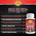 #1 CLA 2000+ Complex In CLA Weight Loss Supplements | Conjugated Linoleic Acid CLA 60 Servings At 2400mg Per Serving! CLA Fat Burner With A 100% Money Back Guarantee | Made In USA | By Mesomorph Labs