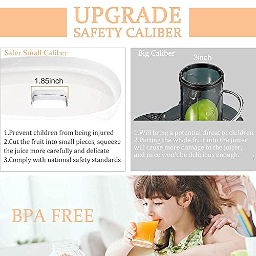 MegaWise Pro Slow Masticating Juicer 95 Juice Yield 2 Speed Modes 9