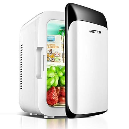 SAST Nevera Electrica PequeñA Neveras 12V/220V-240V (8L) Nevera ...