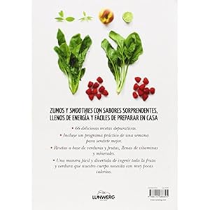 Smoothies 66 recetas caseras