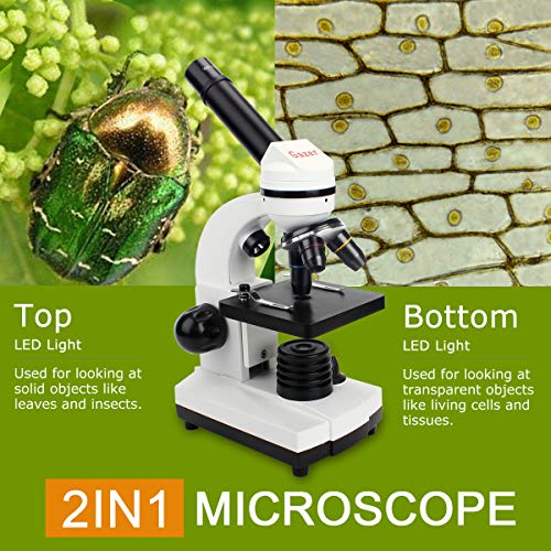 GazerOptics Science Microscope Kit for Kids Students with Prepared Specimen Slides and Smartphone Adapter, 40x-1280x Magnification - A Real Scientific Tool for STEM Learning