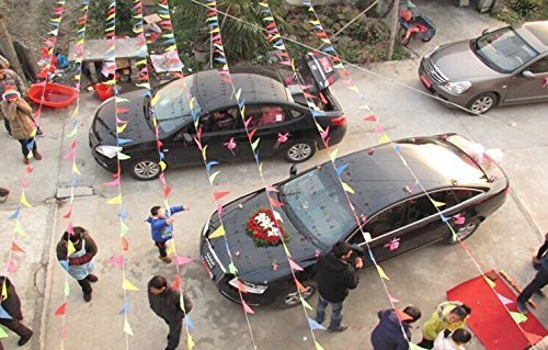 Multicolor Plastic Bunting Banner Flags Double Sided Indoor