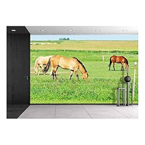 Three Horses Grazing - Removable Wall Mural | Self-Adhesive Large Wallpaper - 66x96 inches