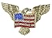 Alilang Golden Tone Patriotic American Eagle Rhinestone USA Flag Brooch Pin