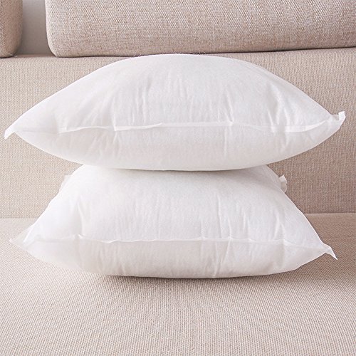 HIPPIH 2 Pack 18 x 18 Pillow Inserts, Hypoallergenic Decorative Square