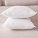 HIPPIH 4 Pack Pillow Insert - 18 x 18 Inch Hypoallergenic Decorative Square Sofa and Bed Pillow Form Inserts