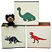 Cubes Kids Storage Organization Bins Boxes Collapsible (Set of 3) 10 inch (Dino - Set of 3)