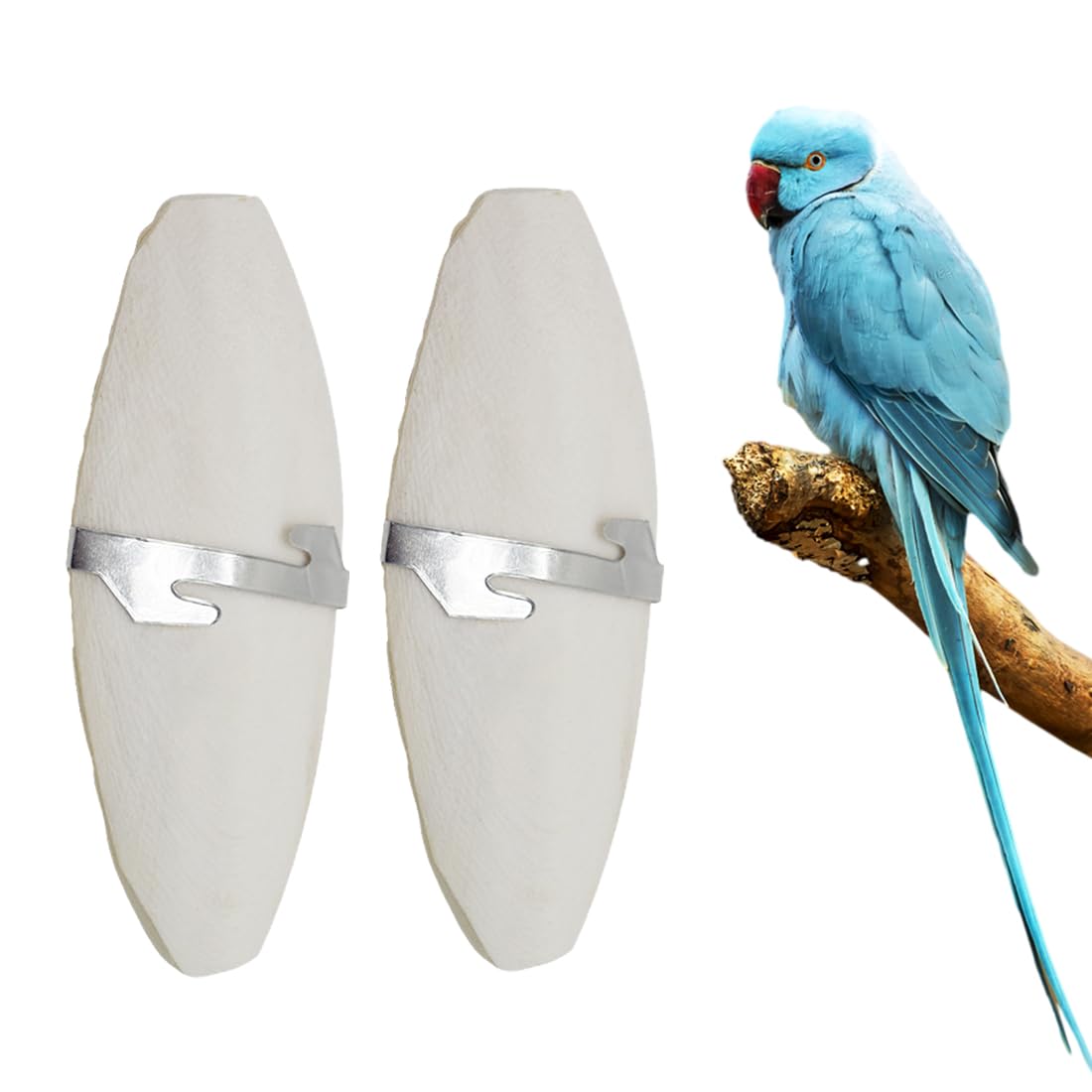 XUKZIMA 2 Pcs Cuttlefish Bone Birds Parrots Chewing Toys with 2 Pcs Metal Holder Natural Cuttlefish Bone Bird Pet Molar Toy for Parrots Cage Birds Reptiles Tortoises Snails(11-13cm)