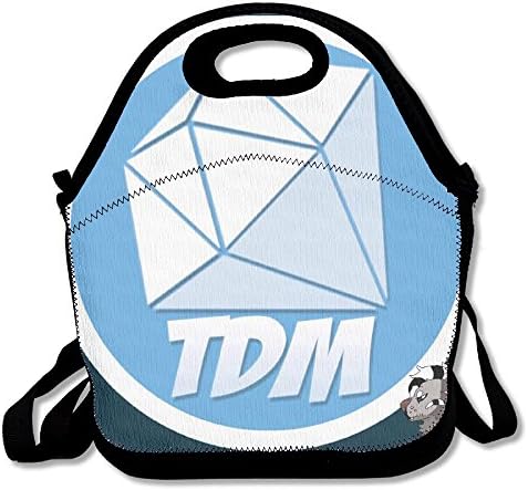 School DanTDM Full Theme Song Lunch Bag