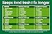 FoodSaver 11