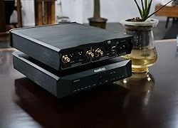 Musician Pegasus R2R DAC Decoder DSD1024 PCM1536