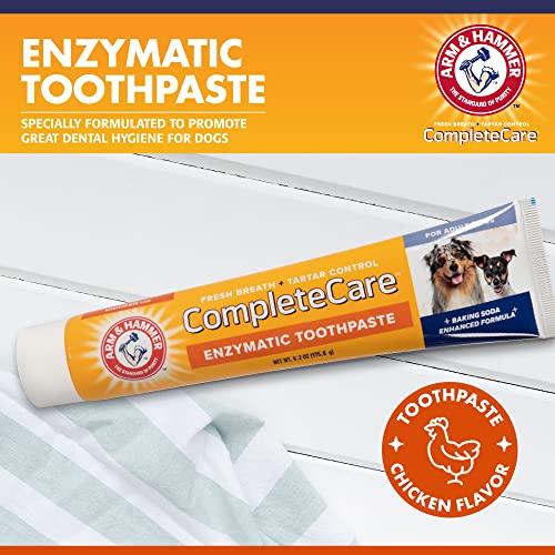 Arm & Hammer Complete Care Enzymatic Dog Toothpaste, 6.2 oz Dog