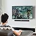 Soundbar with Bluetooth Fiber Optics for TV, Optical Audio Wall Mounted 32 inch Wireless Sound Bar with Amplified Home Theatre Surround System, Remote Control