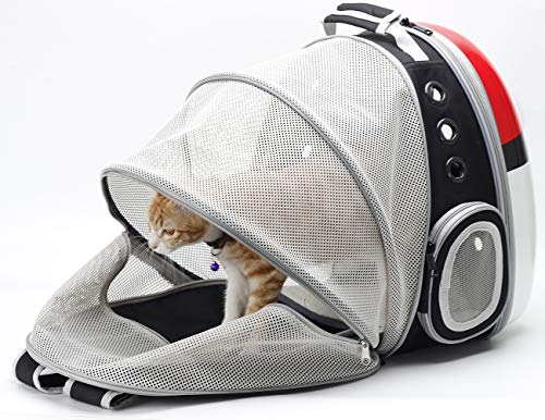 cat backpack pokemon