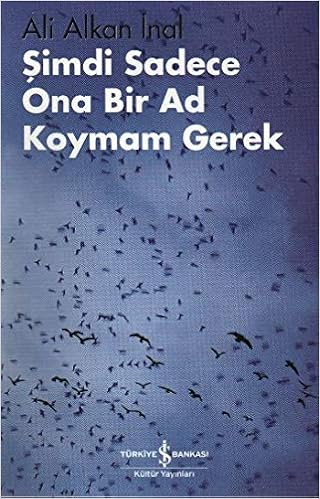 Simdi Sadece Ona Bir Ad Koymam Gerek Ali Alkan Inal 9789944886086 Amazon Com Books