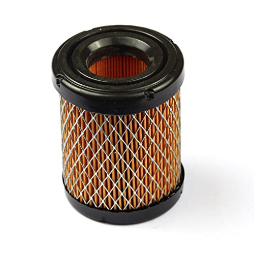Briggs and Stratton 591583 Air Filter