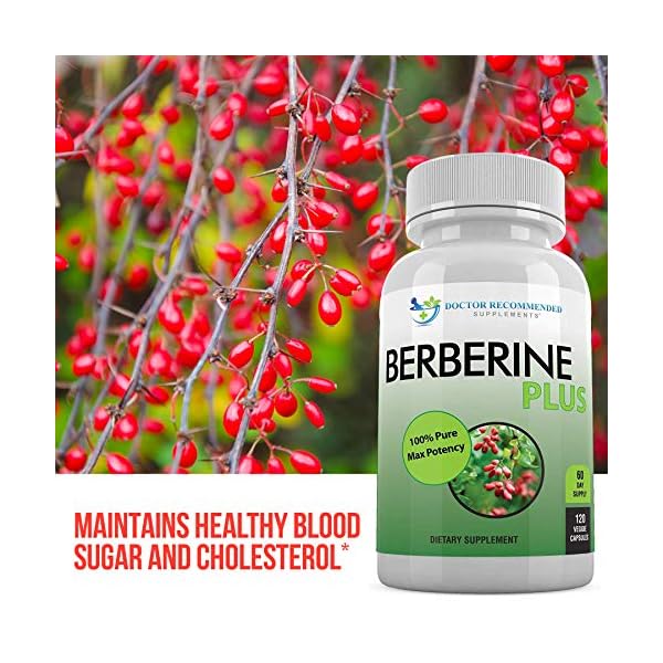 Berberine Plus 1200mg Per Serving 120 Veggie Capsules Royal Jelly