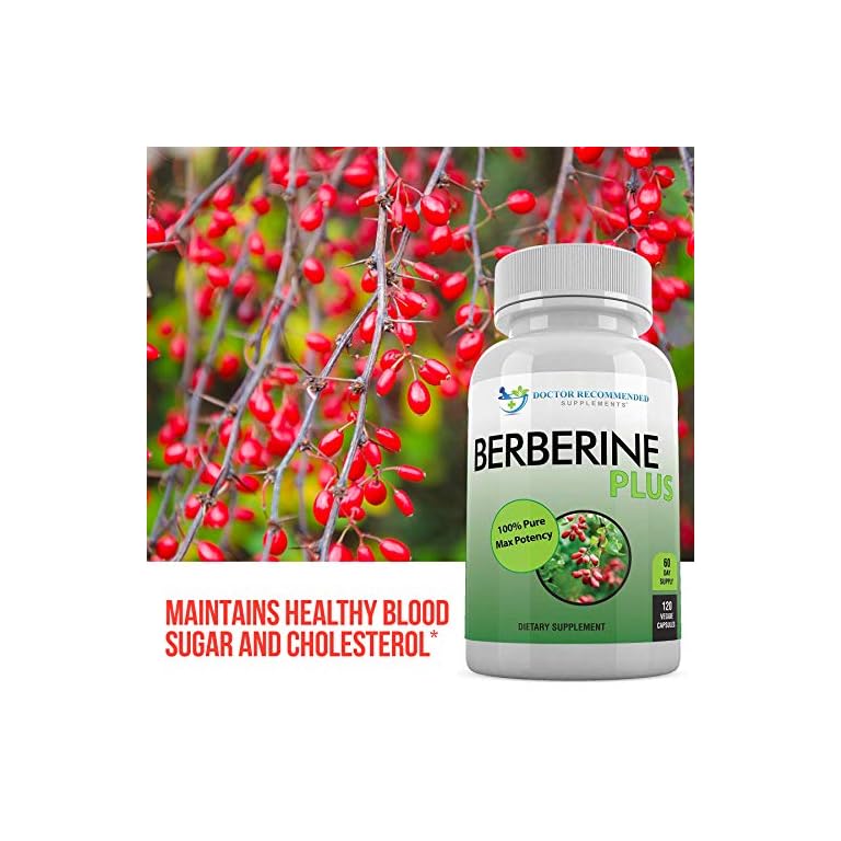 Berberine Plus 1200mg Per Serving 120 Veggie Capsules Royal Jelly