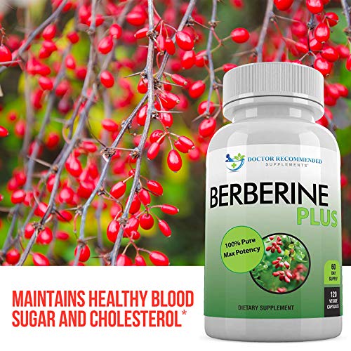 Berberine Plus 1200mg Per Serving 120 Veggie Capsules Royal Jelly