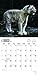 White Tigers 2017 Calendar