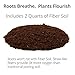 Window Garden Aquaphoric Self Watering Planter (7”) + Fiber Soil = Foolproof Indoor Garden. Decorative Planter Pot for House Plants, Flowers, Herbs, Violets, Succulents. Easy Looks Great.